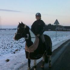 Anden særlig race WINNITUE