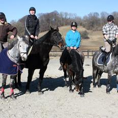 Connemara Aabæks Bobby Lee 