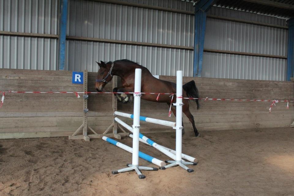 Traver Desire - Løsspring igen  billede 18