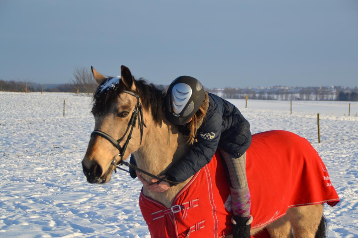 Anden særlig race Digelsgaardens Ginger(My little Girl)<3 <3 - I can tell you that i love you, but it isn't sure that you would believe me!! <3 <3
But if i say You mean the world to me, i'm sure you would believe me! <3 <3 billede 17