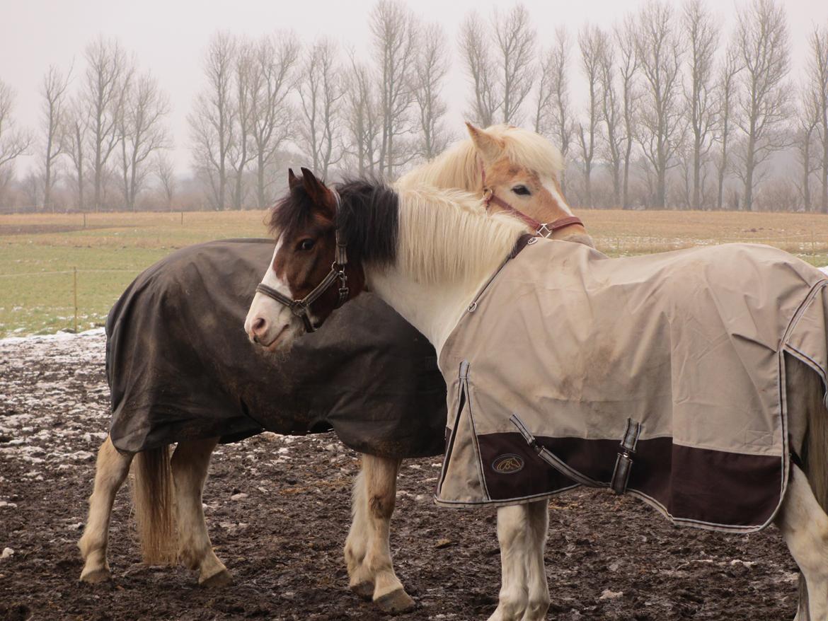 Anden særlig race Strit <3 - fold hygge billede 5