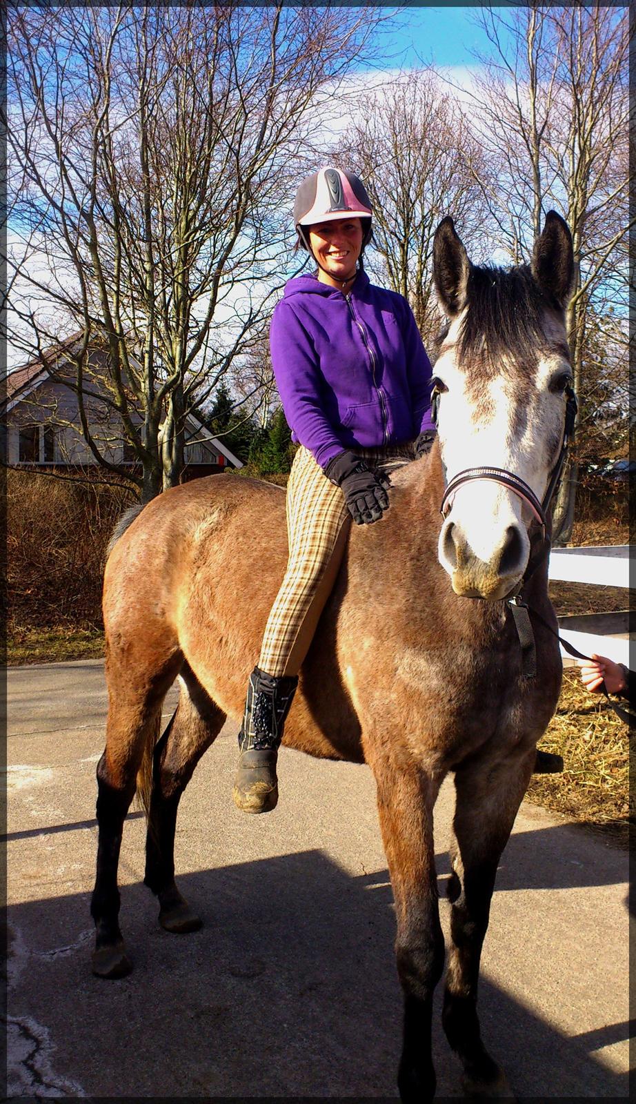 Trakehner Grenanda - Første Ridetur med trækker d. 12/3-13 billede 19