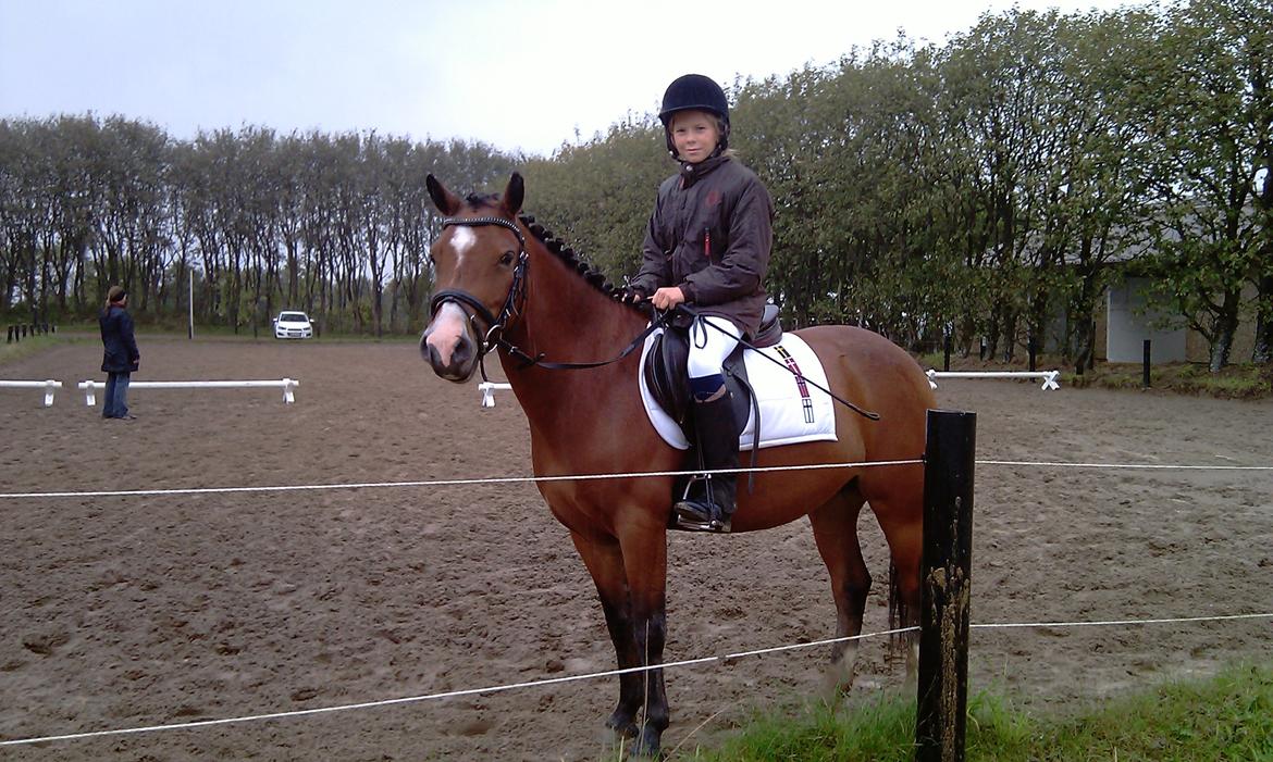 Anden særlig race Miranda *Muffin* -  vores første stævne sammen i Sabro Rideklub: LD1 første plads! <3 foto: mor billede 7