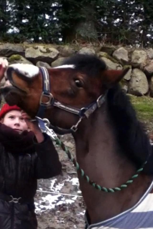 Anden særlig race Miranda *Muffin* - smil til verdenen så smiler den igen... <33 foto: mor billede 8