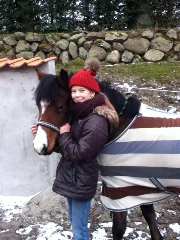Anden særlig race Miranda *Muffin* - du kan ikke beskrives med ord<3 foto: mor billede 9