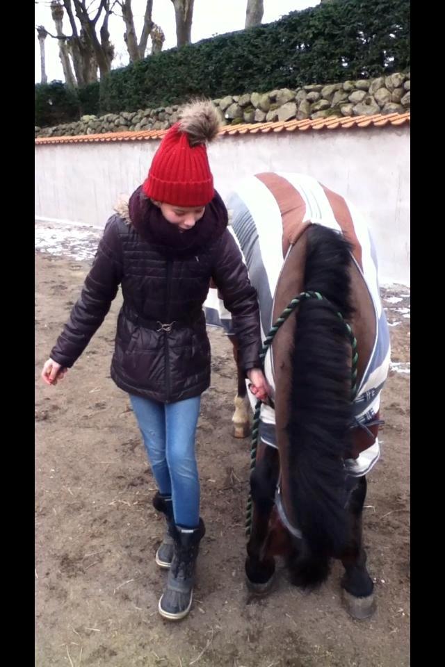 Anden særlig race Miranda *Muffin* - dygtig ponze!! <3 <3 foto: mor billede 12