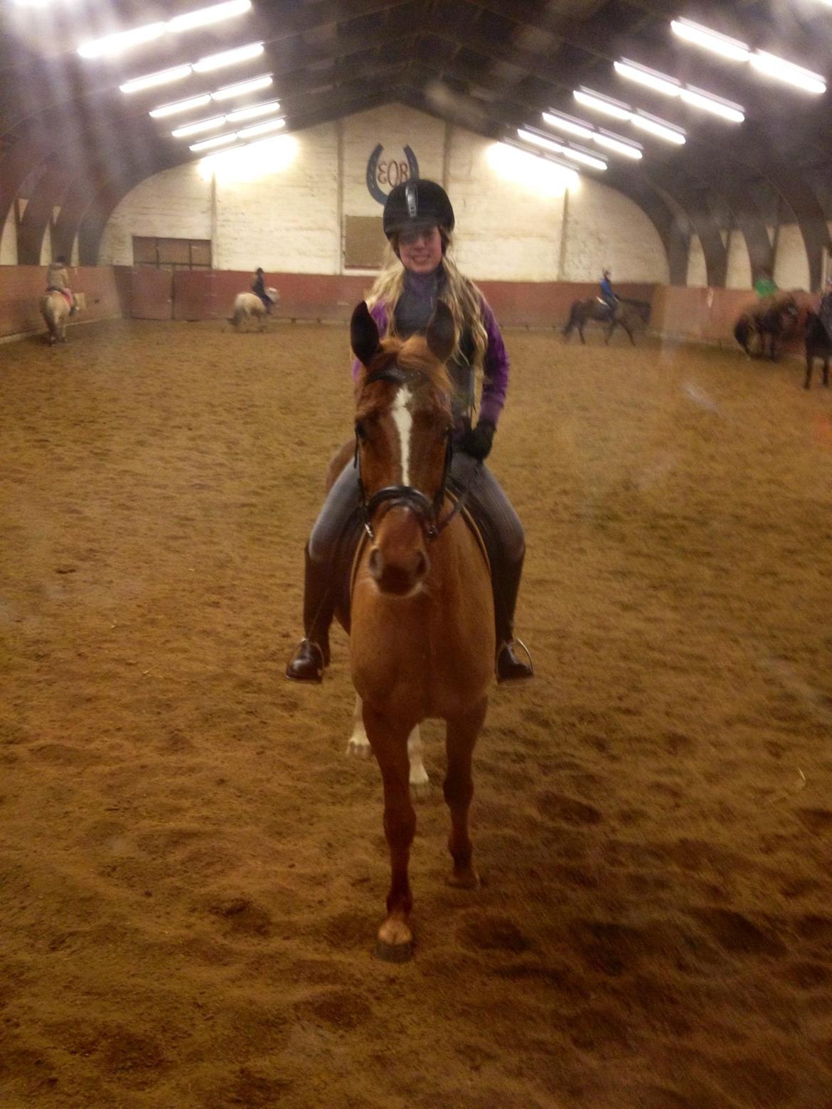 Anden særlig race Ratata <3 billede 15