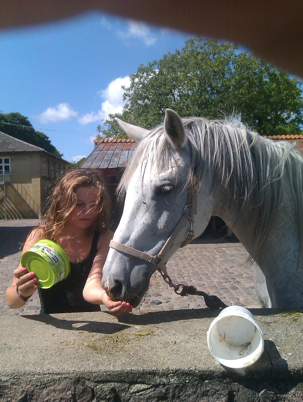 Anden særlig race Pleasure(Plea) <3 <3 - Pleasure og mig hygger udenfor... <3 :D
Foto: Simone...:D billede 2