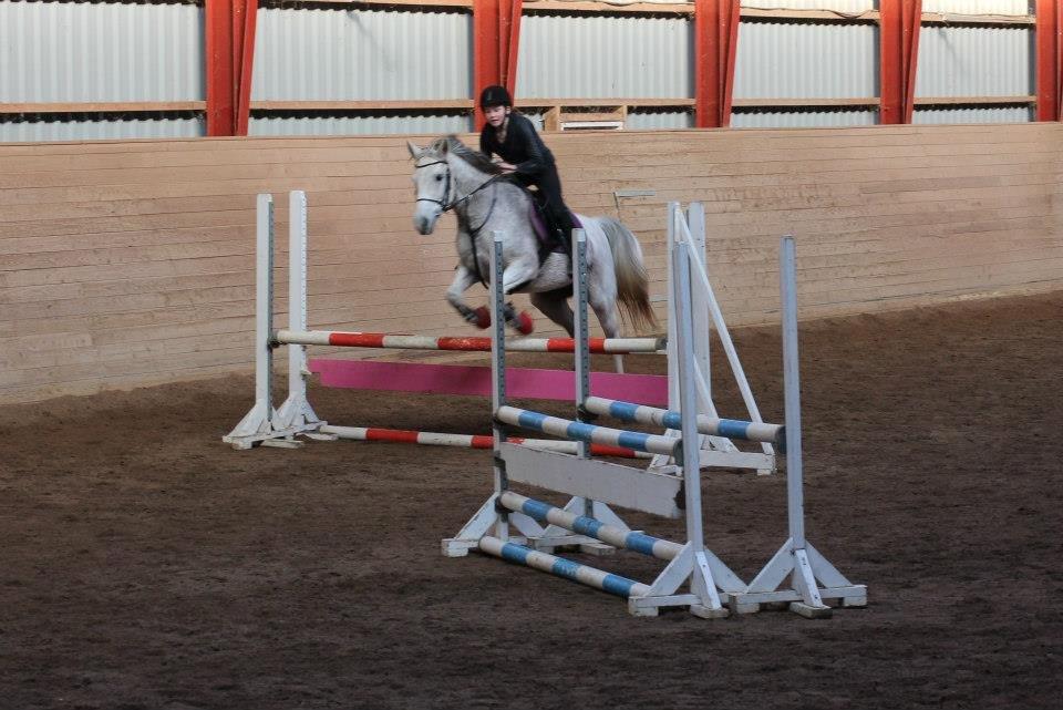 Anden særlig race Pleasure(Plea) <3 <3 - Springundervising.<3
Taget af: Henni.:D billede 3