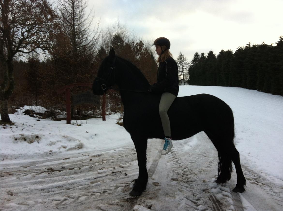 Frieser EFTERLYSES - Quella Von Hasselholt - Februar 2013 billede 13