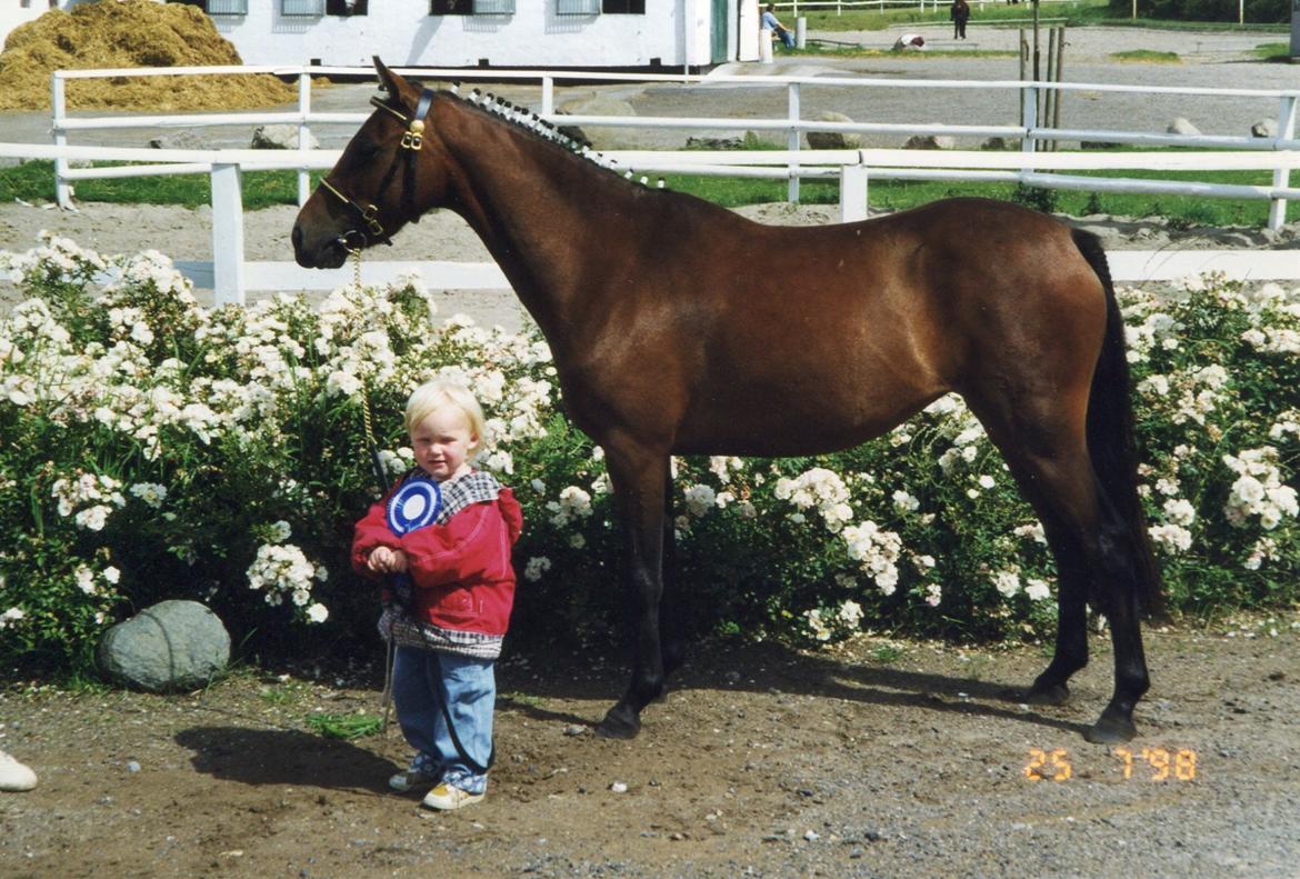 DSP Bohemo Iris - Min første pony, da jeg var 2 år gammel. :') billede 15