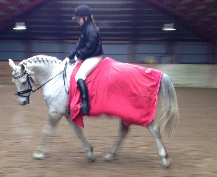 Anden særlig race Pleasure(Plea) <3 <3 billede 11