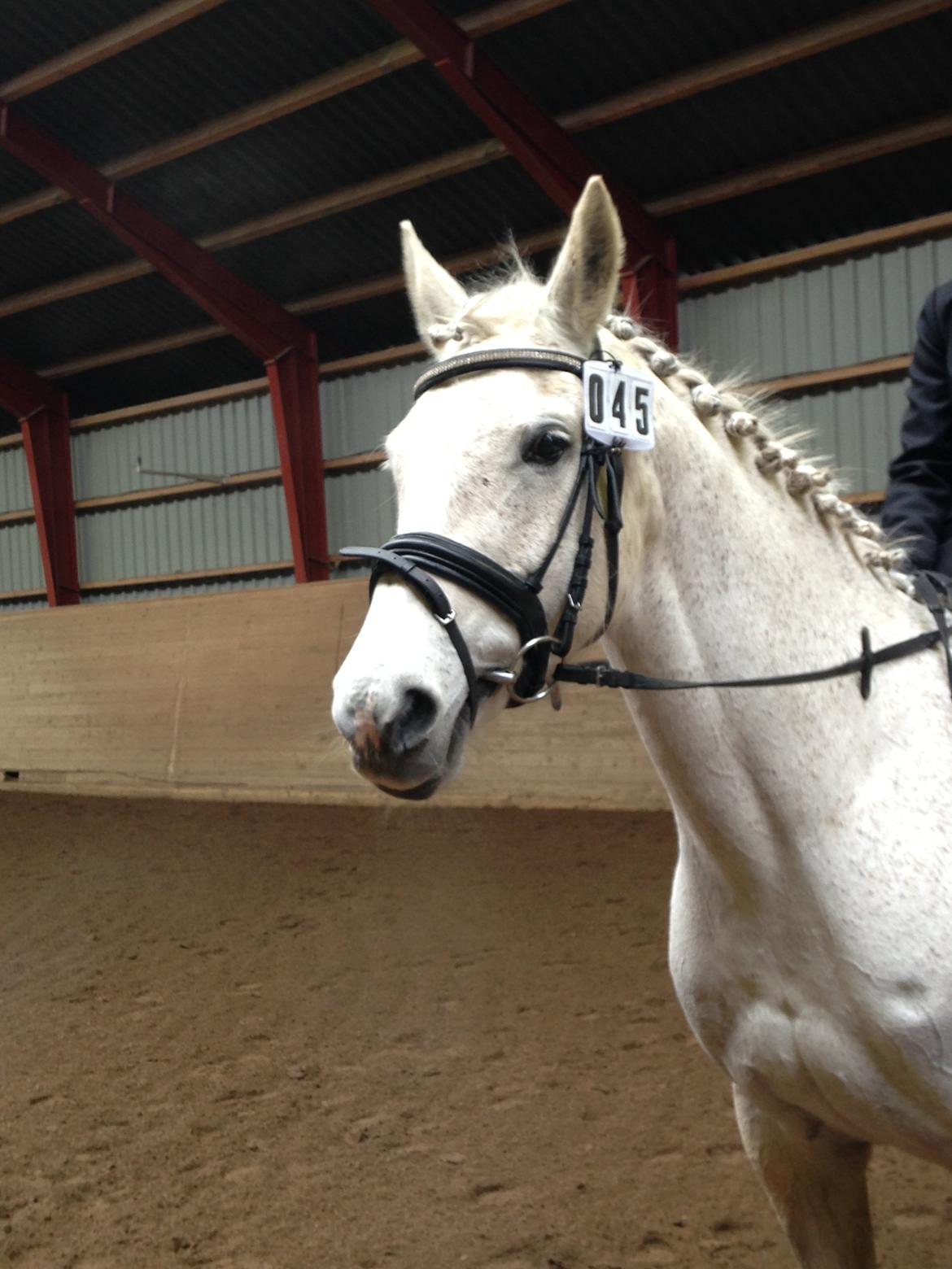 Anden særlig race Pleasure(Plea) <3 <3 billede 12