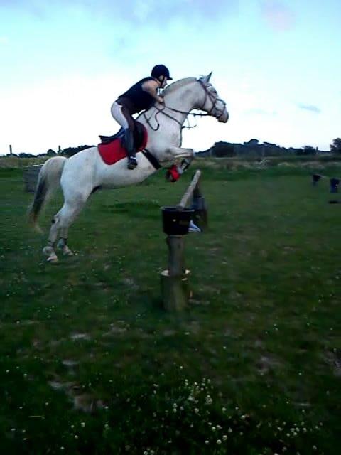 Knabstrupper Simone af lundegaard *MySoulMate! <3* - det højeste vi har sprunget. 1.07  billede 16