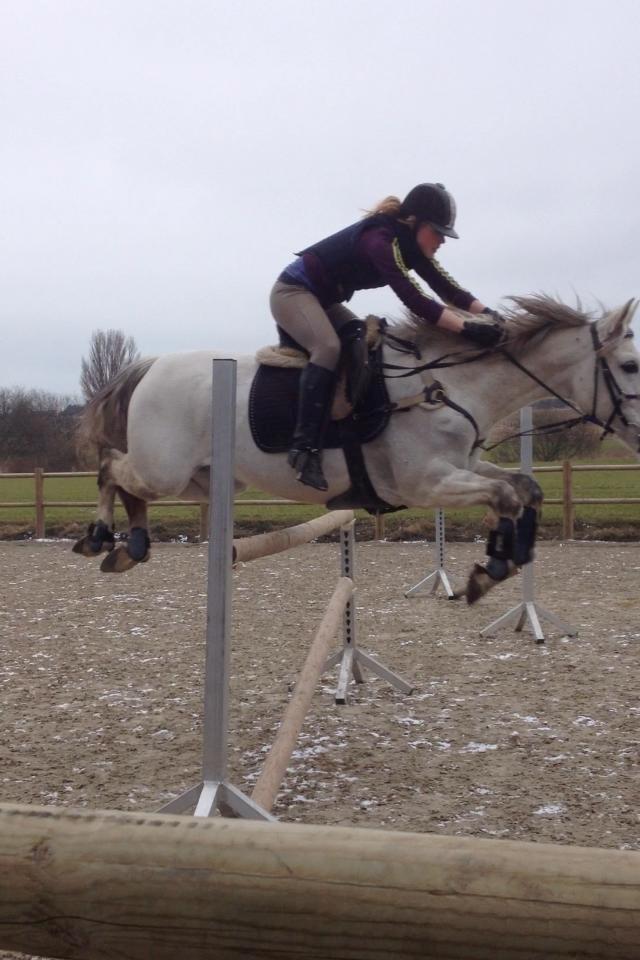 Andalusier Django billede 12