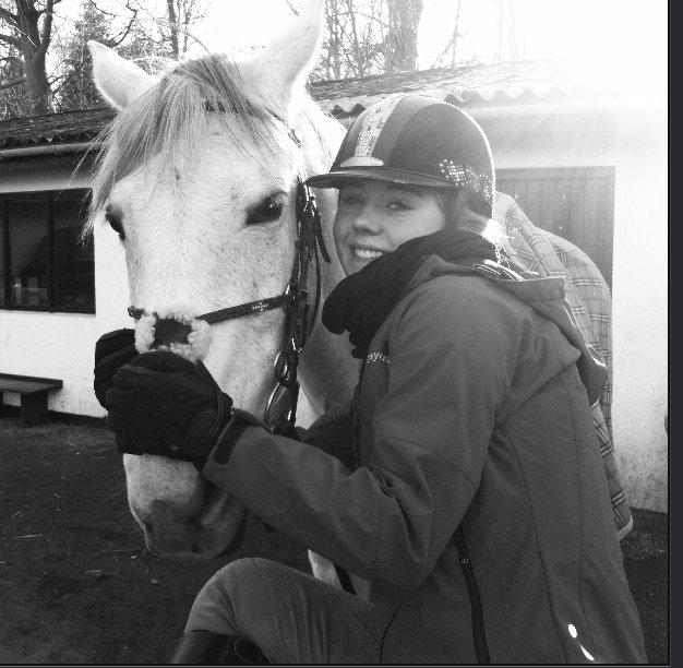 Andalusier Django - Min skat. billede 13