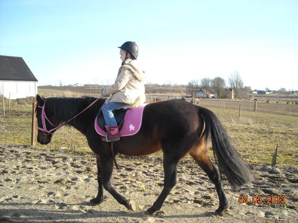 Traver Jettes Pride billede 12