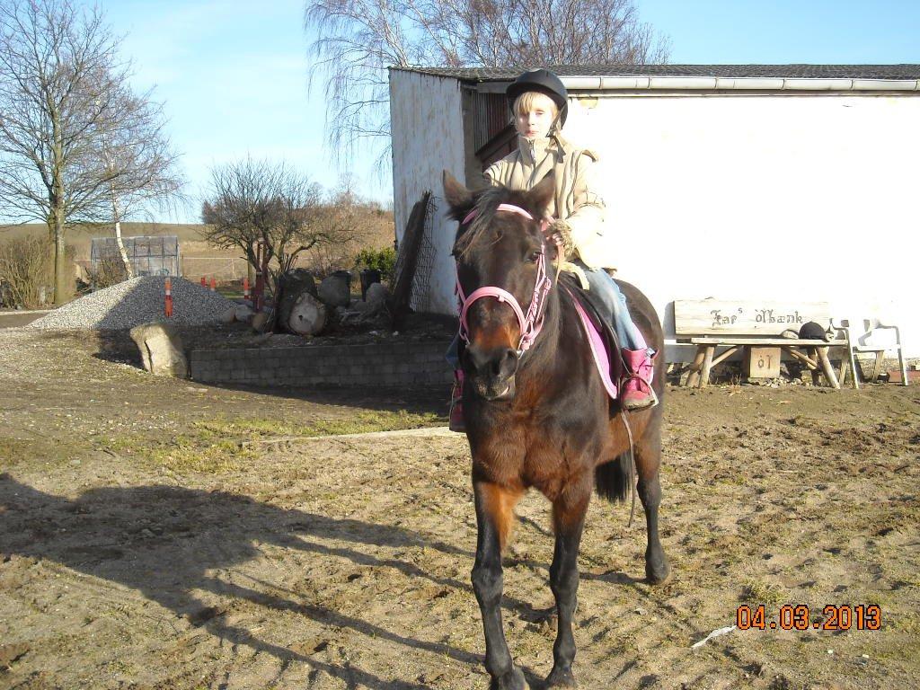 Traver Jettes Pride billede 14