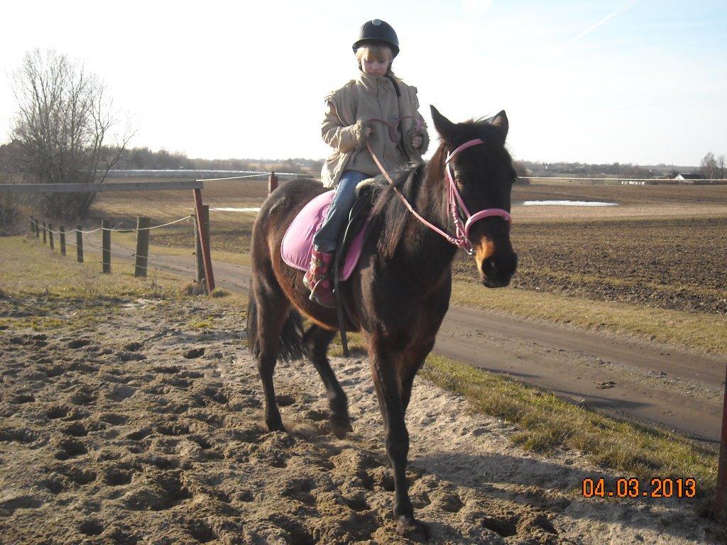 Traver Jettes Pride billede 13