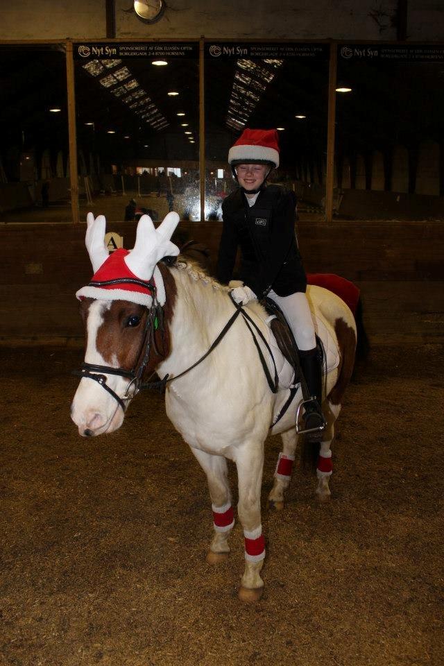 Anden særlig race Strit <3 - en dag tog jeg mig i at smile uden grund. Jeg indså det var fordi jeg tænkte på dig. Mig og strit til julestævne ( foto sofie meldgaard) billede 8