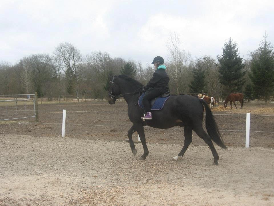 Oldenborg Futti billede 4