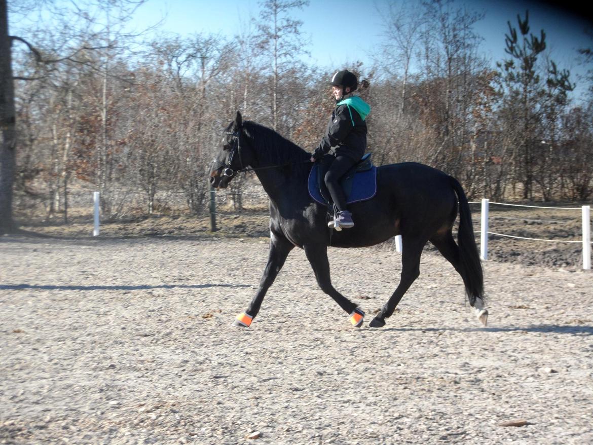 Oldenborg Futti billede 1