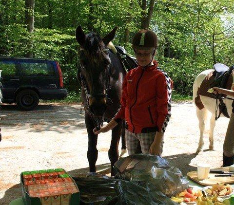Dansk Varmblod Vesterhavegaard´s Deuchet Epona - Orinteringstævne med Deuchet. Holdet fik 1 pladsen :) billede 17