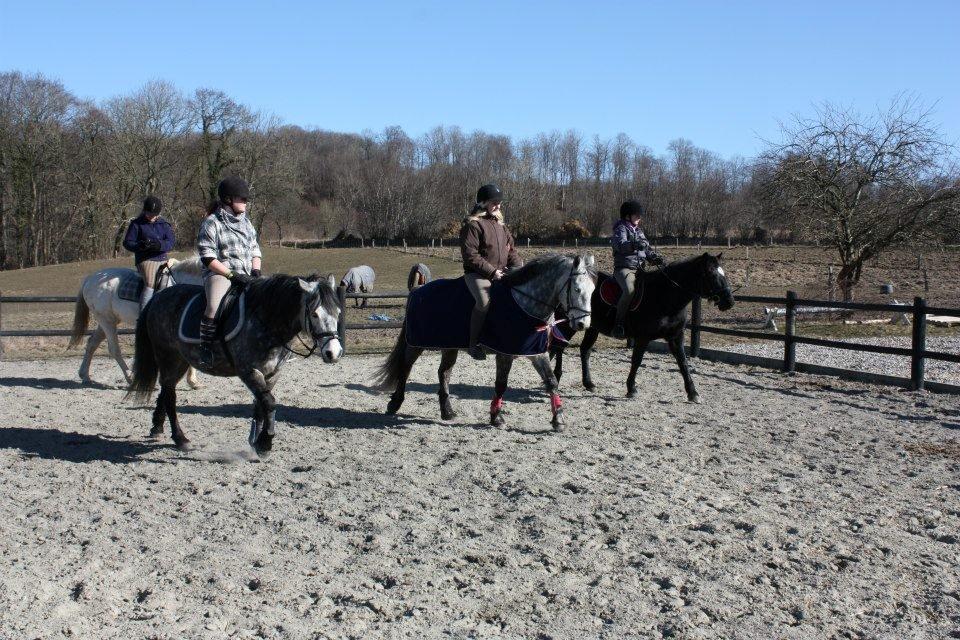 Connemara Aabæks Bobby Lee  - Mig, lee, benedikte, storm, sebastian og DJ :-) Med Tanja og Chile bagved..<3  billede 14