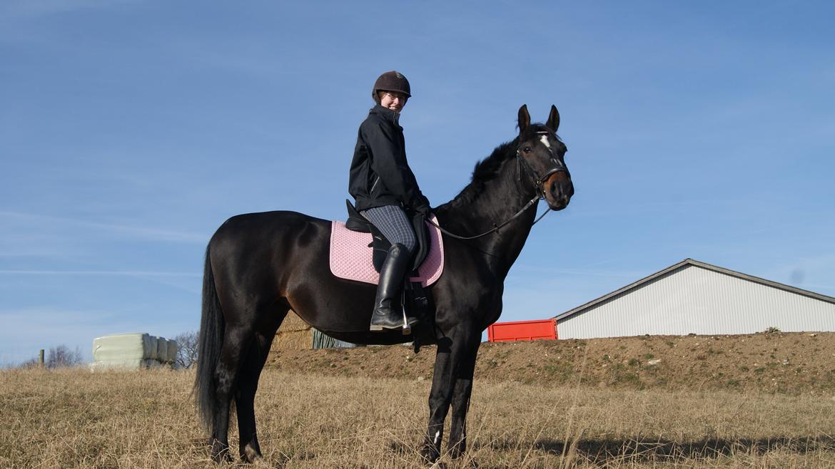 Anden særlig race Nova - Verdens bedste hest :* billede 17