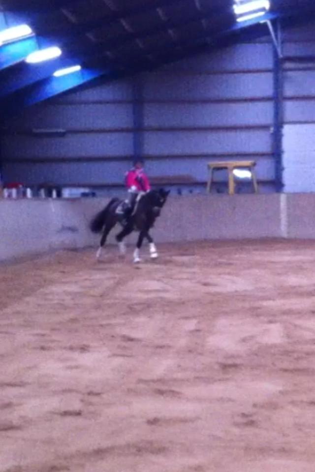 Oldenborg Don Frello billede 19