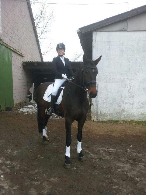 Anden særlig race Farissa - Første klubstævne billede 6