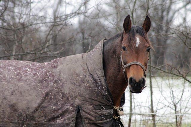 DSP Malou - # 13 Februar 2013 billede 13