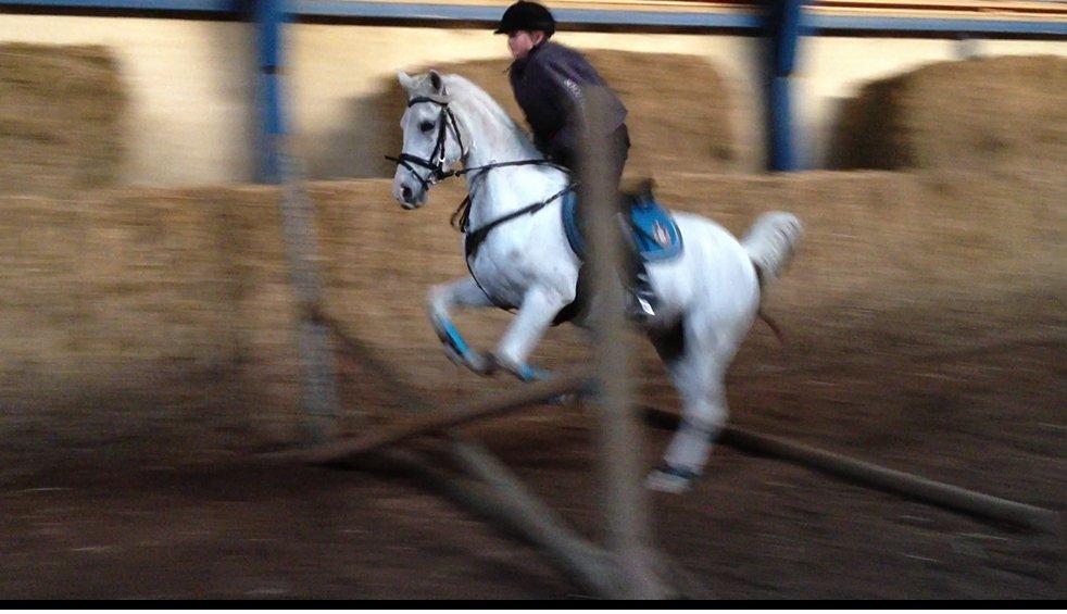 Anden særlig race Meritza - PriNSeSseN<3 billede 10