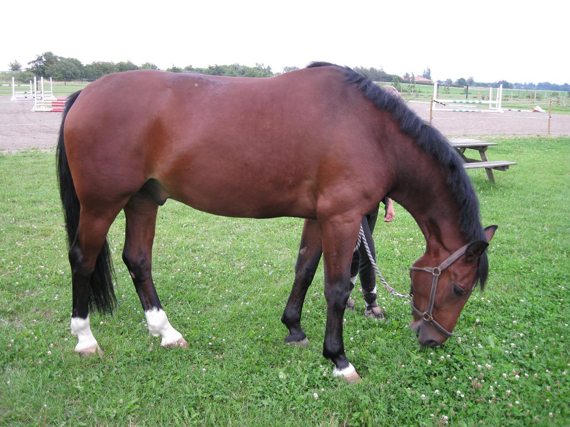 Oldenborg Elvis - Mmmm... Hvor smager det bare godt billede 8