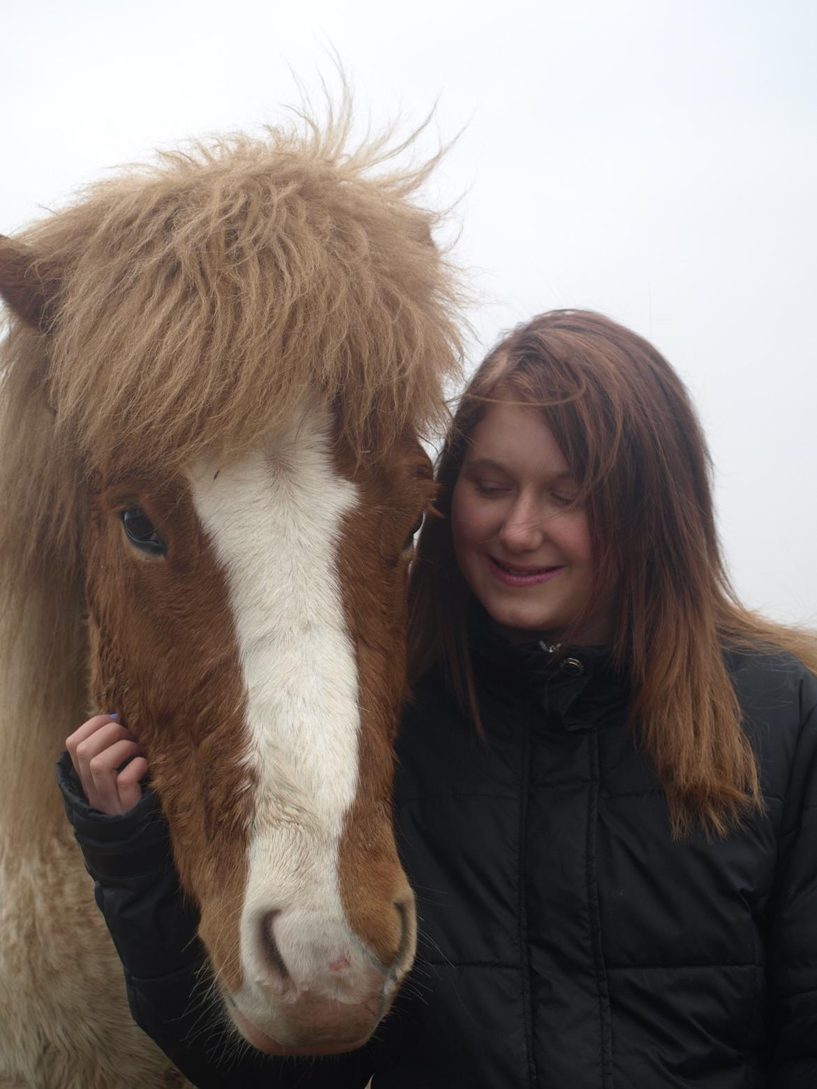 Islænder Girdir billede 1