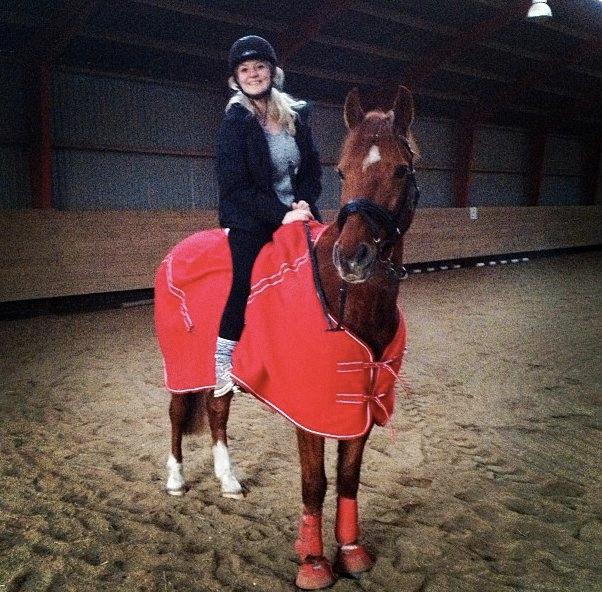 Anden særlig race Chili - jeg var på fyn for at besøge min chili <3 billede 1