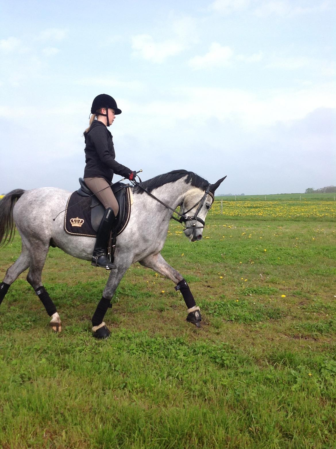 Anden særlig race Milano<3333 billede 8