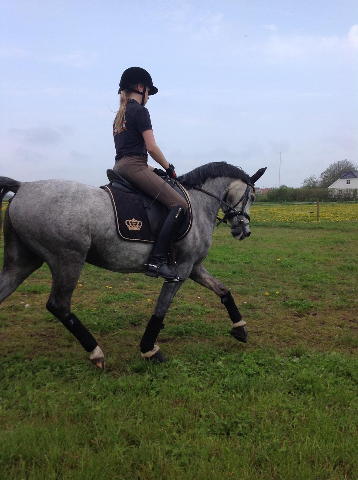 Anden særlig race Milano<3333 billede 10