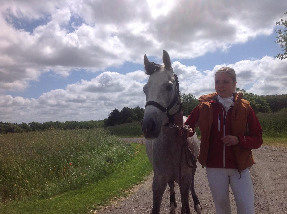 Anden særlig race Milano<3333 billede 14