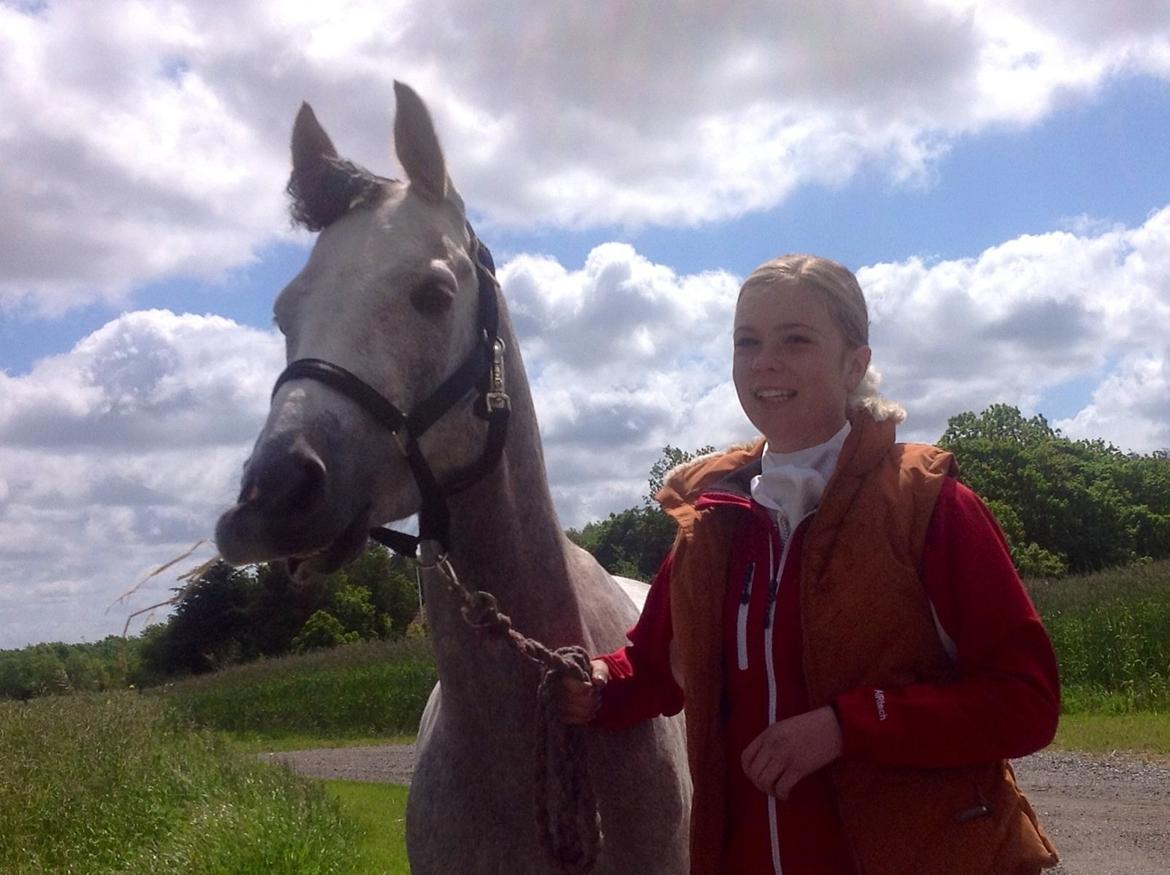 Anden særlig race Milano<3333 billede 16