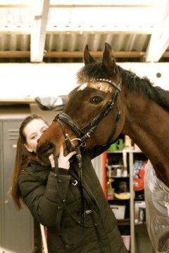 Holstener Pretty woman billede 12