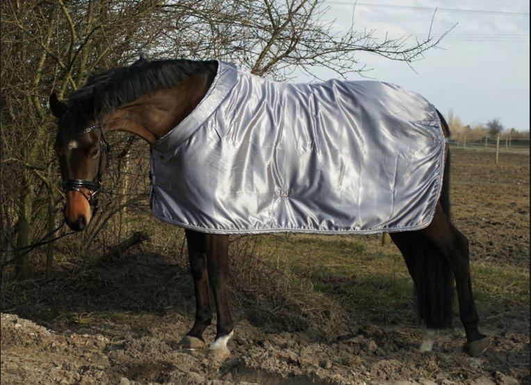 Holstener Pretty woman billede 13