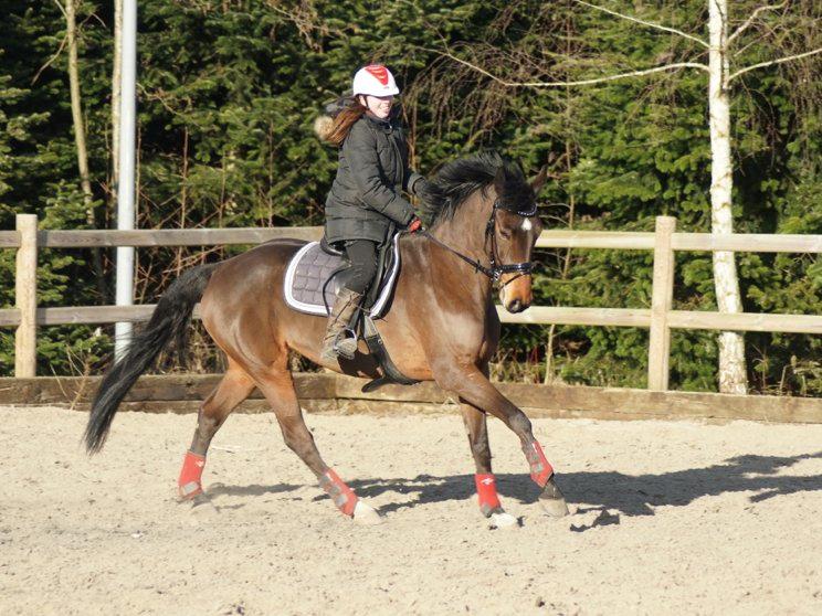 Holstener Pretty woman billede 16