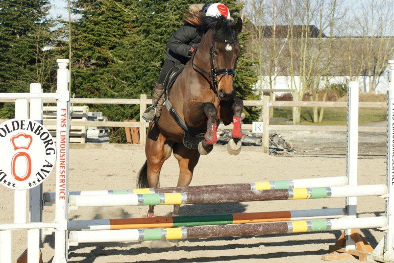 Holstener Pretty woman billede 6