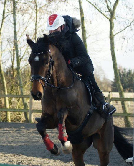 Holstener Pretty woman billede 17