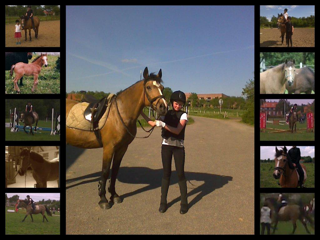 Connemara Nørlunds Targa/Conrad billede 18