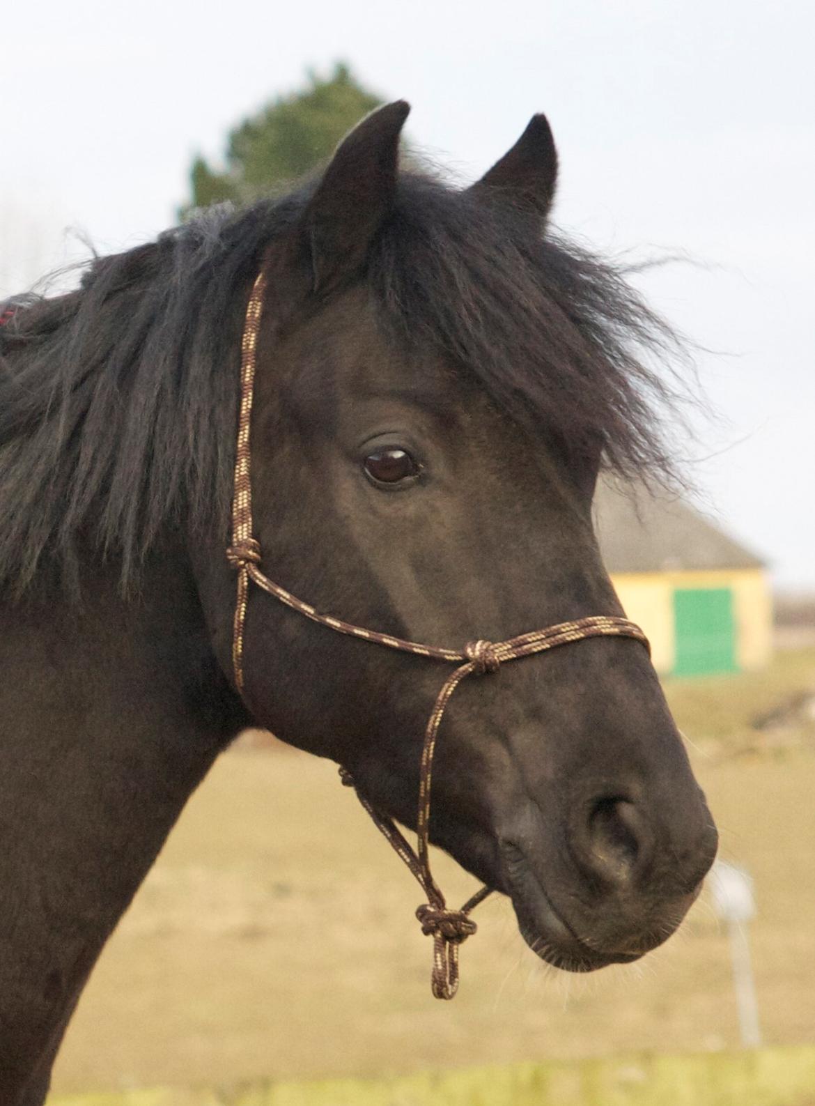 Anden særlig race Felix - Forår 2013 billede 8