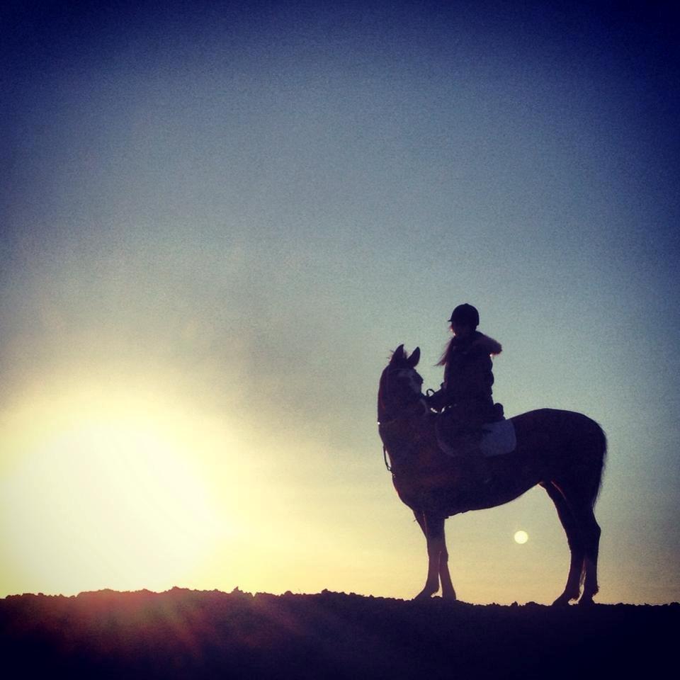 Anden særlig race Wubbi - Wonderful moments, all spend with u.<3 billede 7