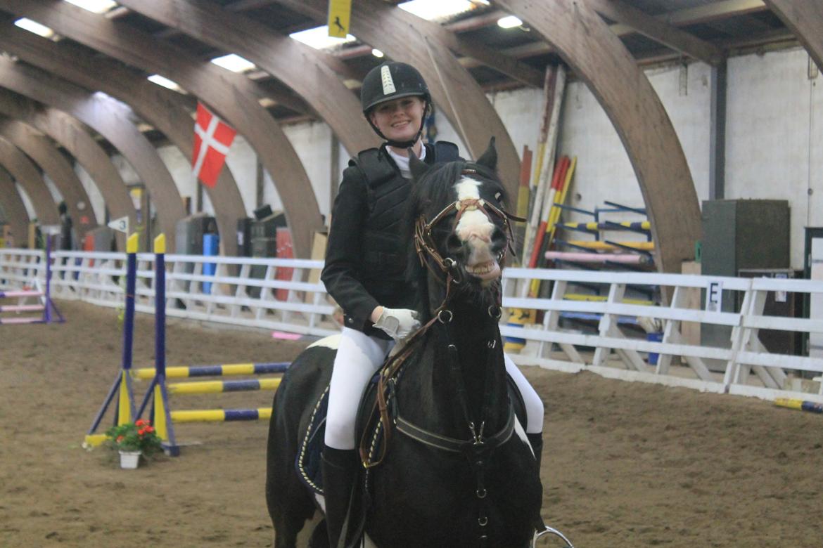 Barockpinto Jake - Jake og Jeg til præmieoverrækkelse, vandt 1 pladsen i 60'er klassen <3 billede 11