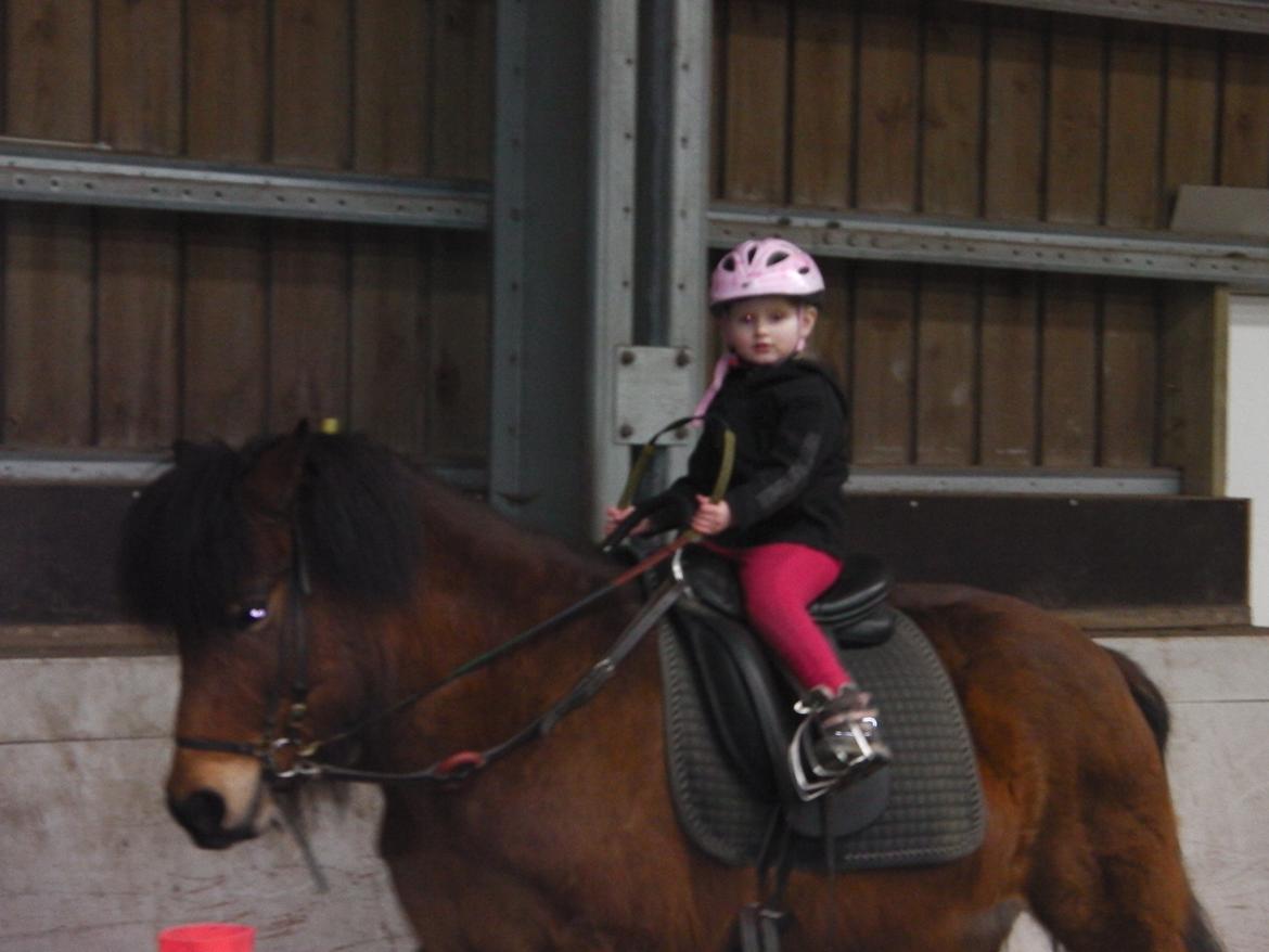 Islænder Maria fra Ternuryggi - Isabella på 3 år tager lige en tur på sin hest :-D  billede 14
